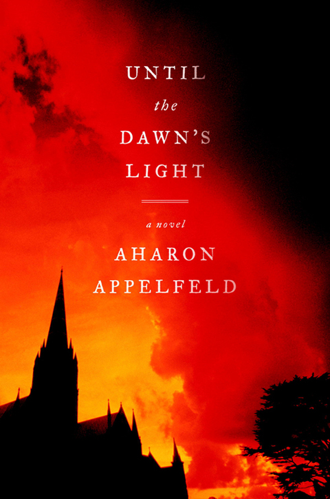 Cover image for book Until the Dawn's Light