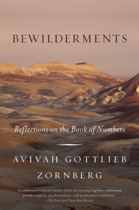 Cover image for book Bewilderments