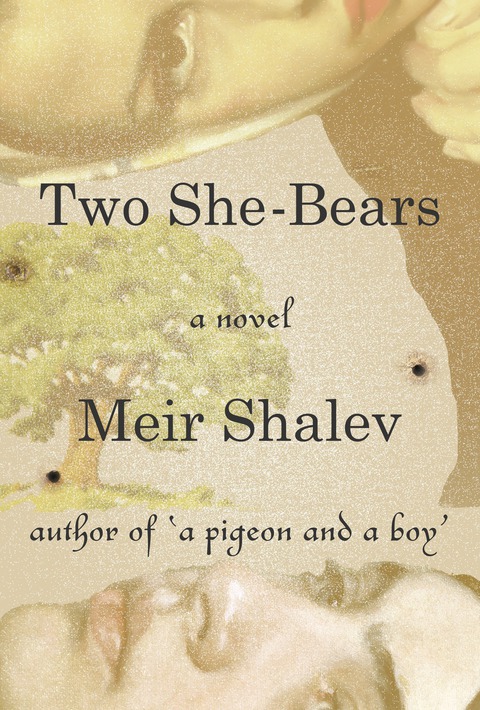 Cover image for book Two She-Bears