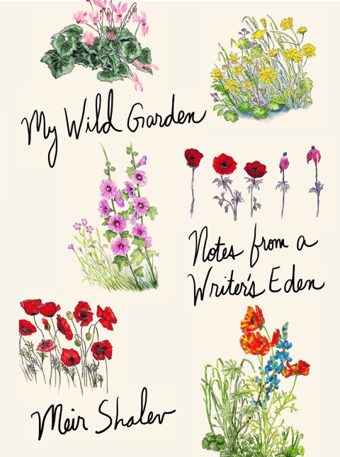 Cover image for book My Wild Garden