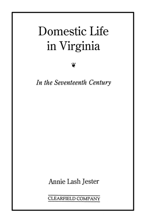 Cover image for book Domestic Life in Virginia in the Seventeenth Century