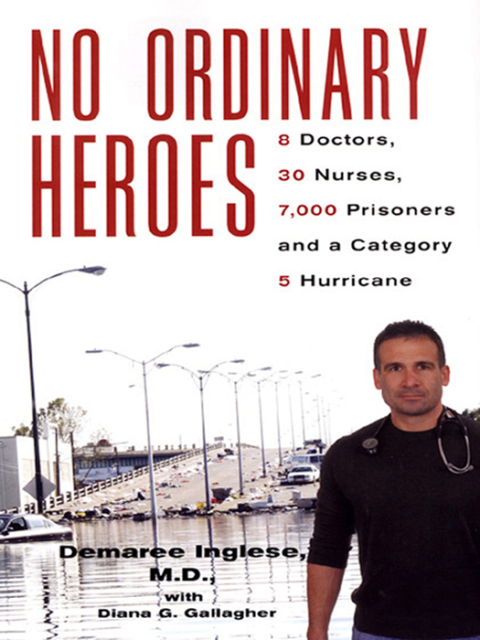 Cover image for book No Ordinary Heroes: