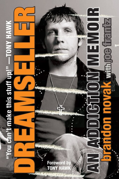 Cover image for book Dreamseller