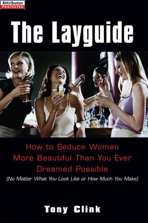 Cover image for book The Layguide: