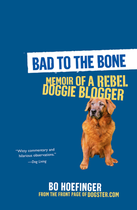 Cover image for book Bad to the Bone: