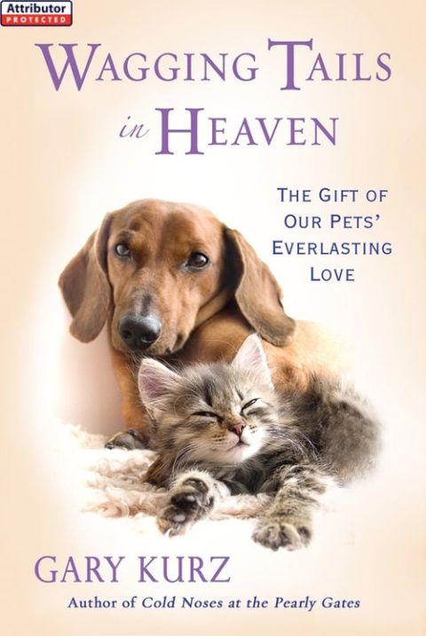 Cover image for book Wagging Tails in Heaven