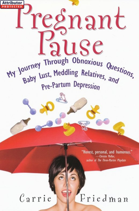 Cover image for book Pregnant Pause: