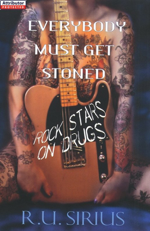 Cover image for book Everybody Must Get Stoned: