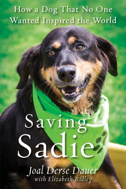 Cover image for book Saving Sadie
