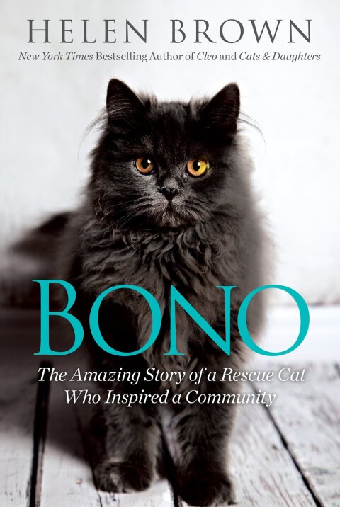 Cover image for book Bono