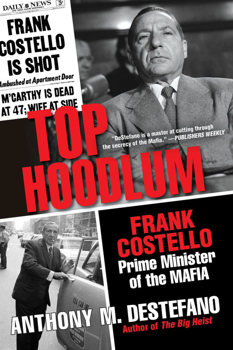 Cover image for book Top Hoodlum