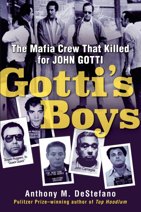 Cover image for book Gotti's Boys