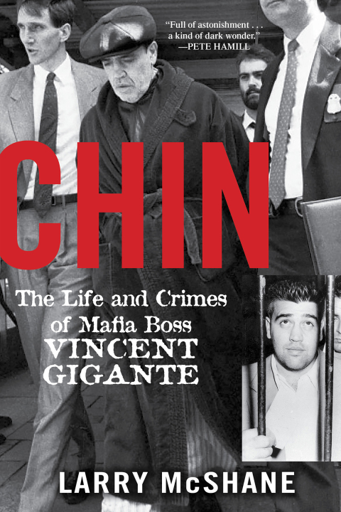 Cover image for book Chin