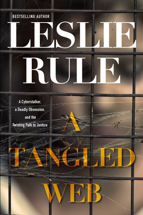 Cover image for book A Tangled Web