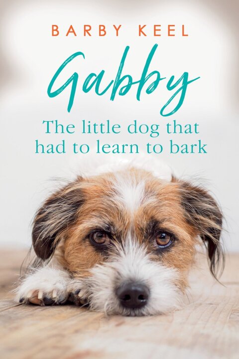 Cover image for book Gabby