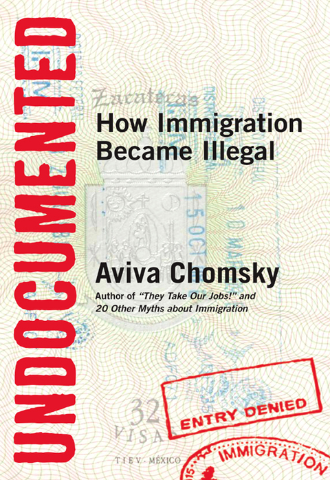 Cover image for book Undocumented