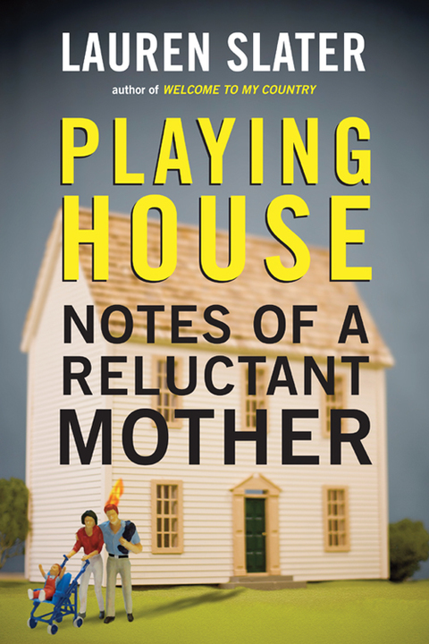 Cover image for book Playing House