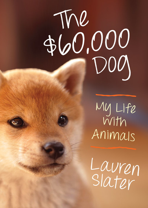 Cover image for book The $60,000 Dog