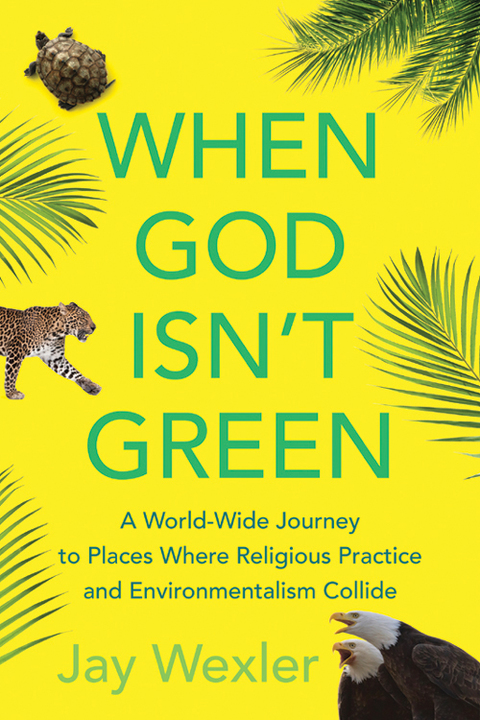 Cover image for book When God Isn't Green