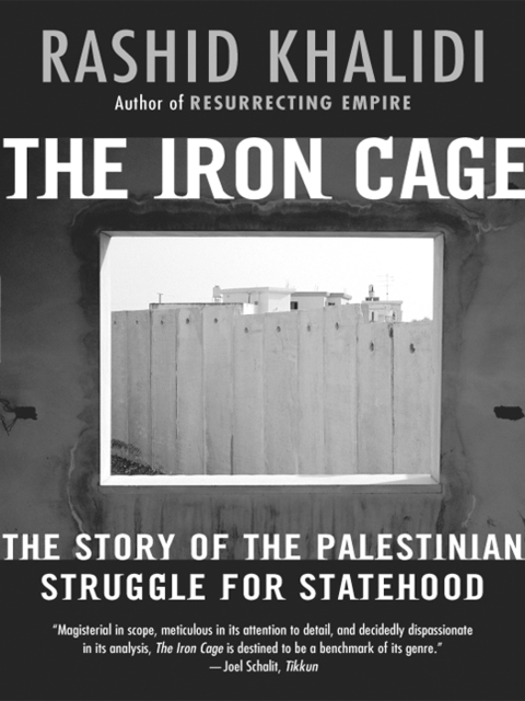 Cover image for book The Iron Cage