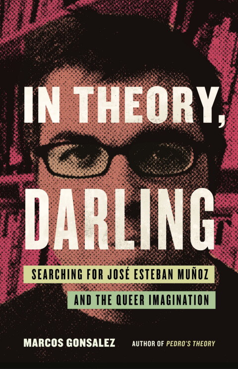 Cover image for book In Theory, Darling