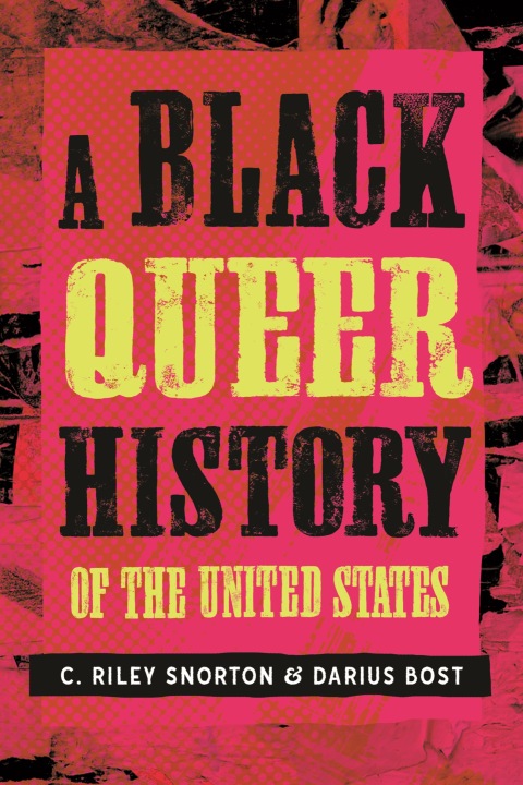 Cover image for book A Black Queer History of the United States