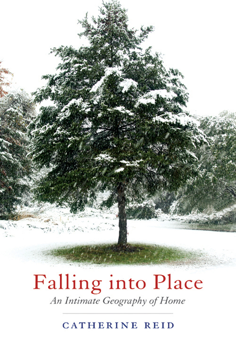 Cover image for book Falling into Place
