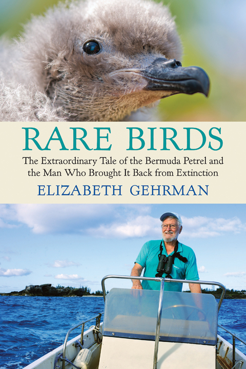 Cover image for book Rare Birds