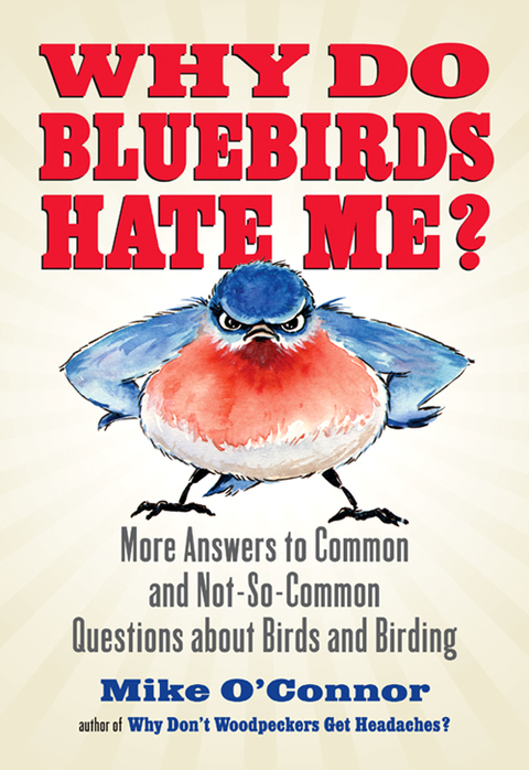 Cover image for book Why Do Bluebirds Hate Me?