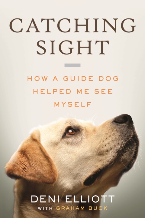 Cover image for book Catching Sight