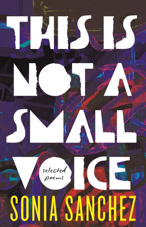 Cover image for book This Is Not a Small Voice
