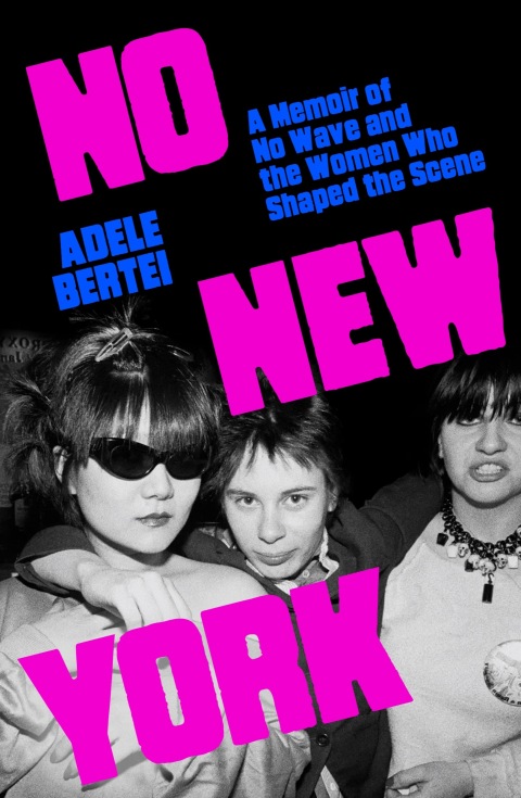 Cover image for book No New York