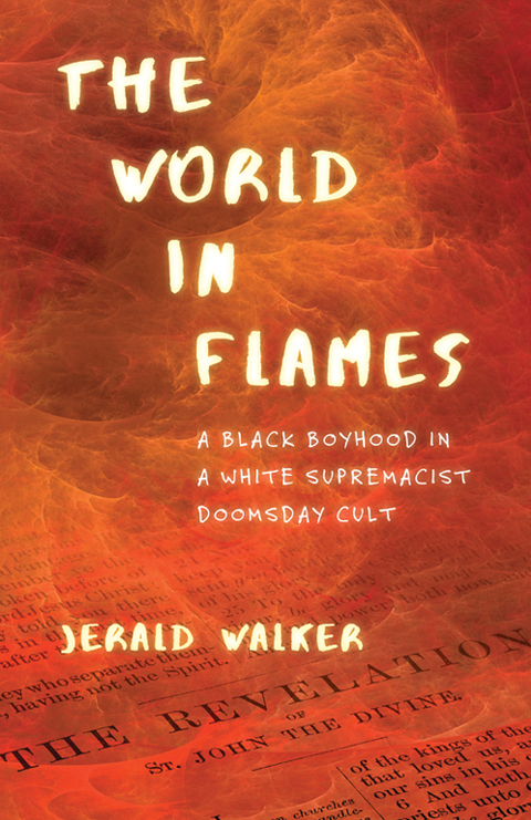 Cover image for book The World in Flames