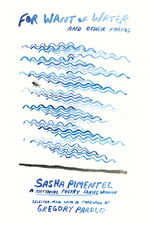 Cover image for book For Want of Water