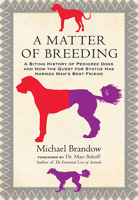 Cover image for book A Matter of Breeding