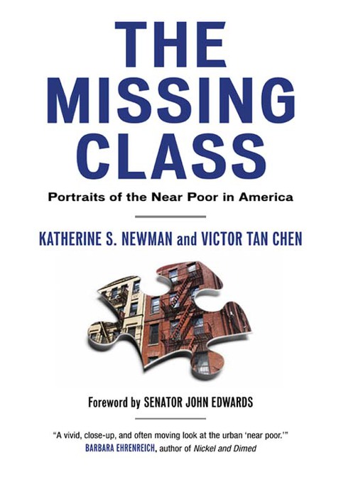 Cover image for book The Missing Class