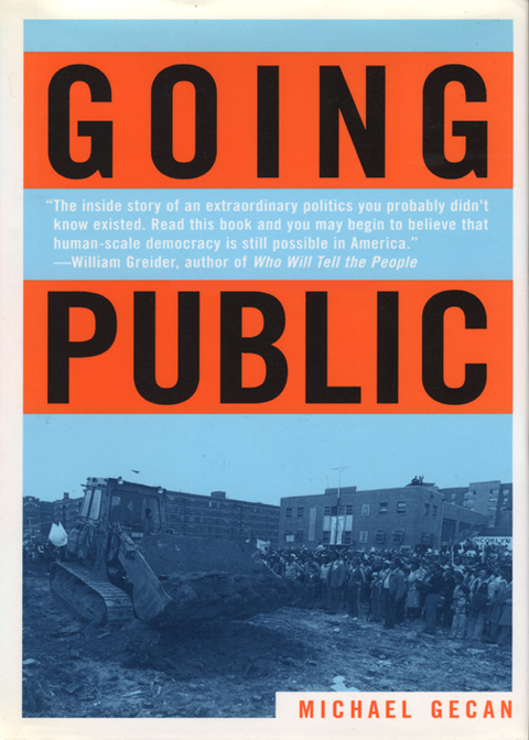 Cover image for book Going Public