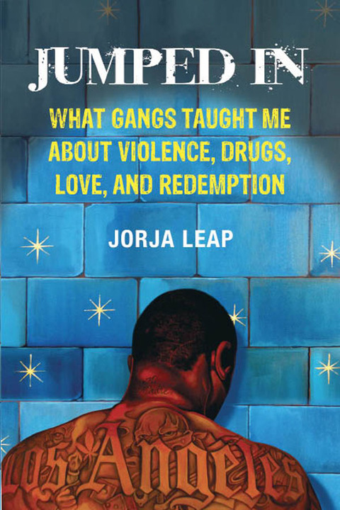Cover image for book Jumped In