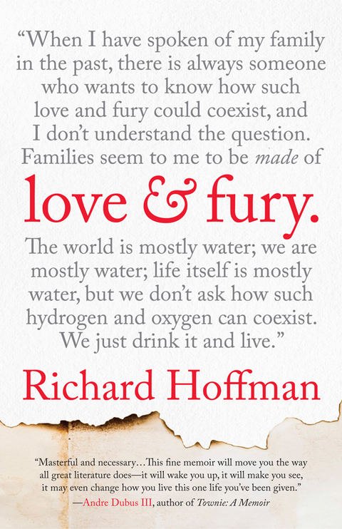 Cover image for book Love and Fury