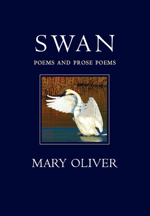 Cover image for book Swan