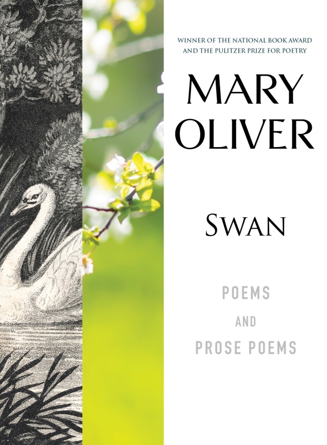 Swan