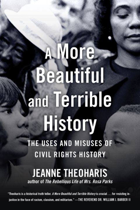 Cover image for book A More Beautiful and Terrible History