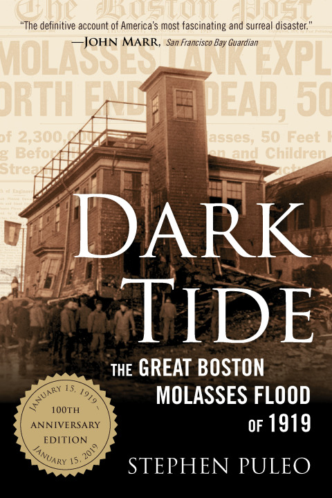 Cover image for book Dark Tide