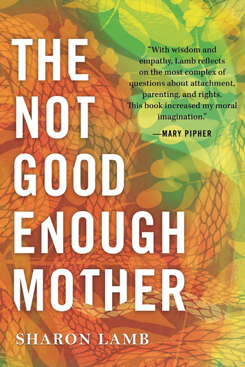 Cover image for book The Not Good Enough Mother