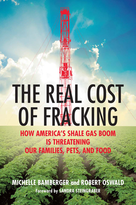 Cover image for book The Real Cost of Fracking