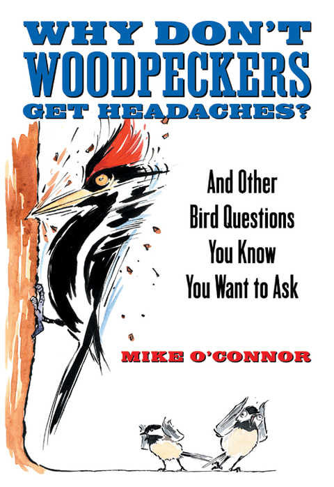Cover image for book Why Don't Woodpeckers Get Headaches?