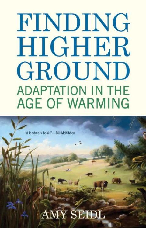 Cover image for book Finding Higher Ground