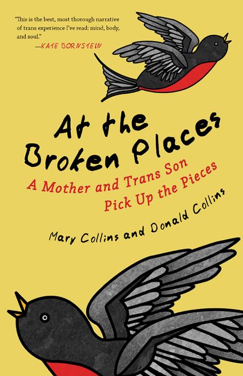 Cover image for book At the Broken Places