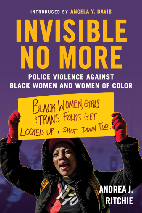 Cover image for book Invisible No More