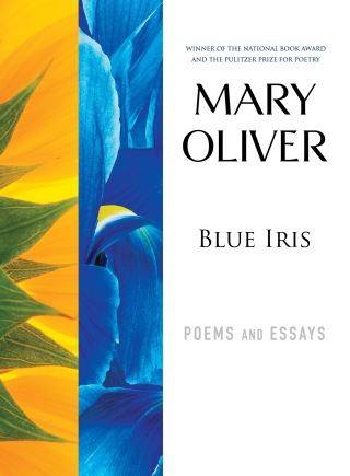 Blue Iris